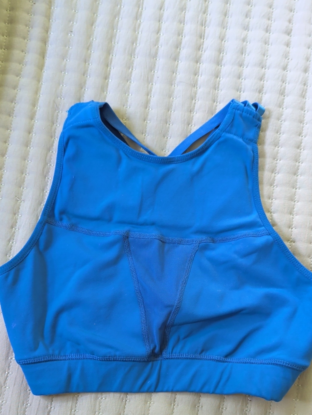 The Chestee Bright Blue High-Neck Sports Bra